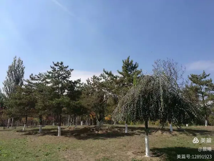 2018年10月8日之口泉植物园一游